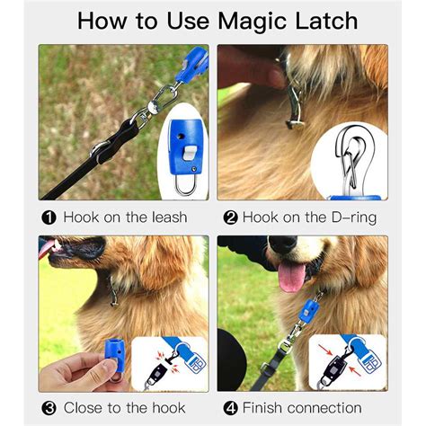 Dog daddy magic leash